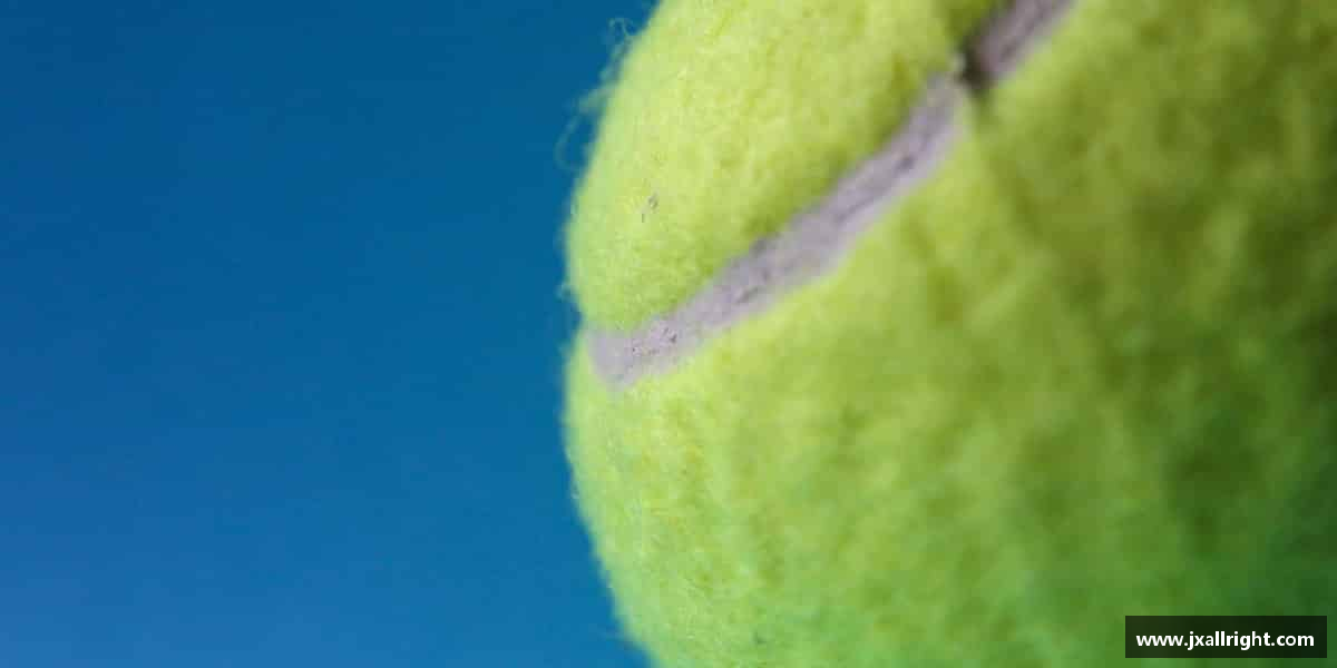 认识芒果(mangosport)体育